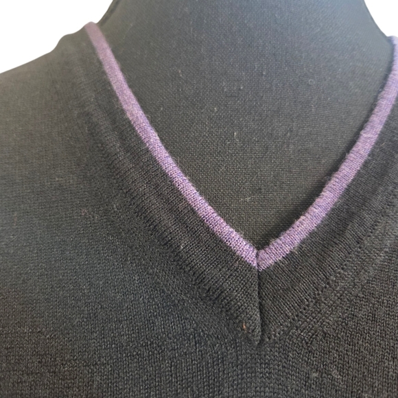 Sand 100% Merino Wool Black V-Neck Sweater With Purple Accent Size XL - Picture 2 of 6